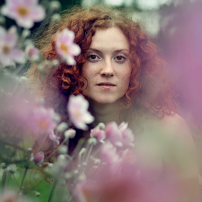 Воспоминания о лете