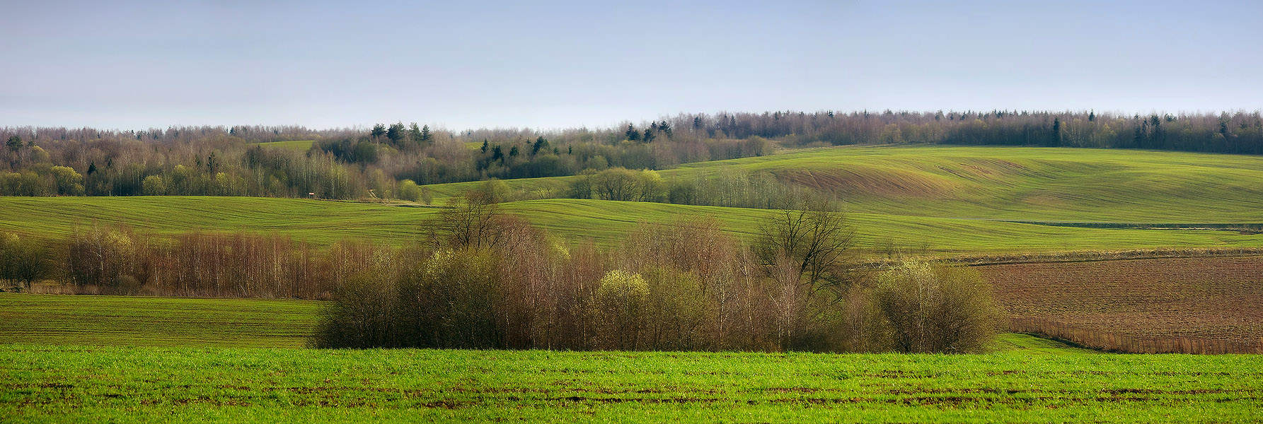 Апрельская зарисовка
