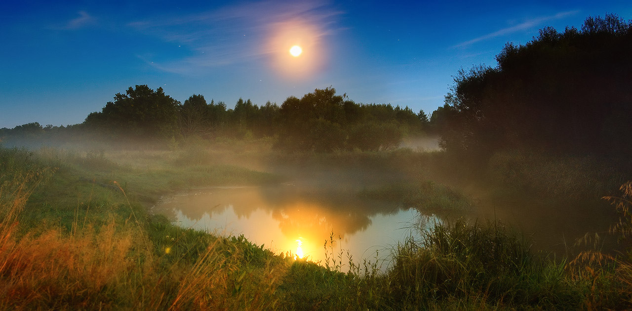 Ночная сказка