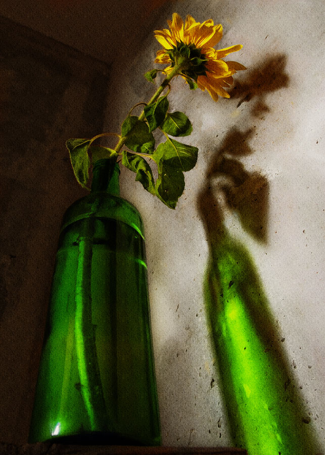 Бульварный роман