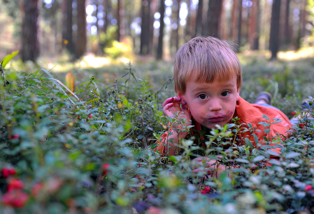 Брусничное лето