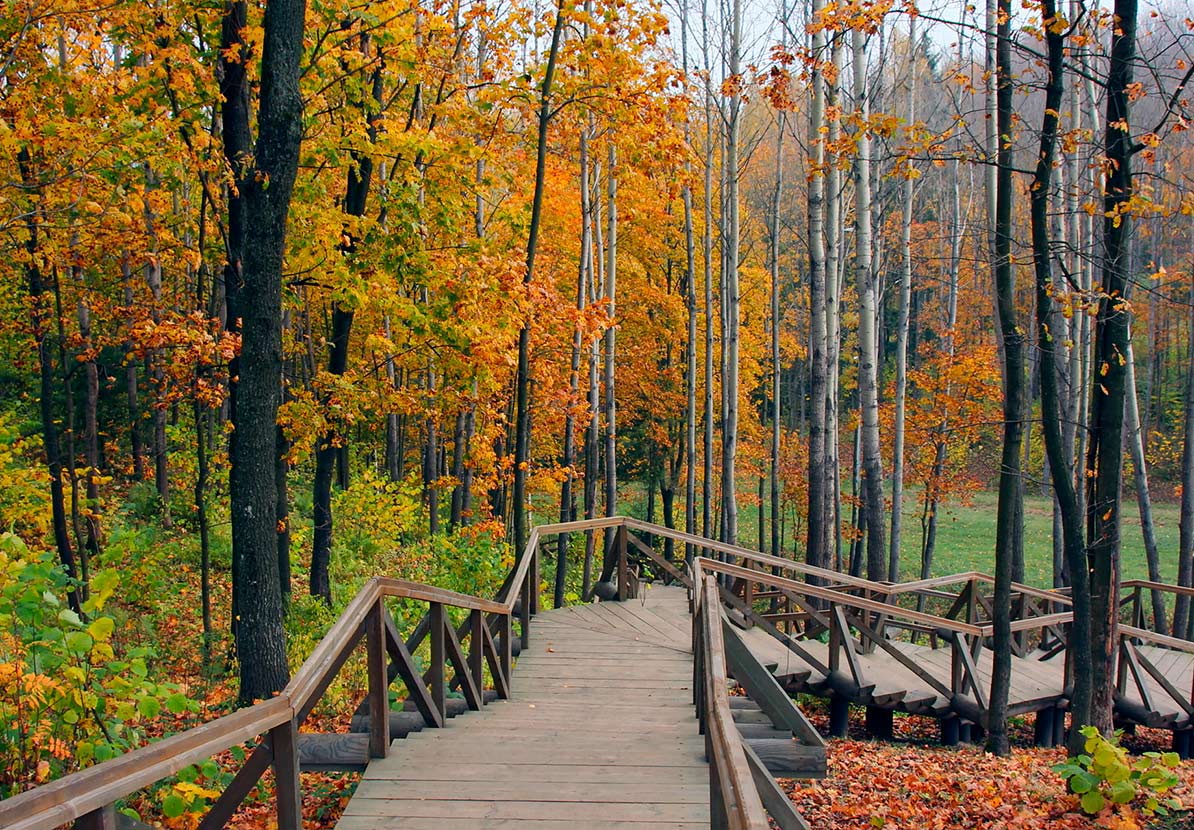 Каждое время  лучшее