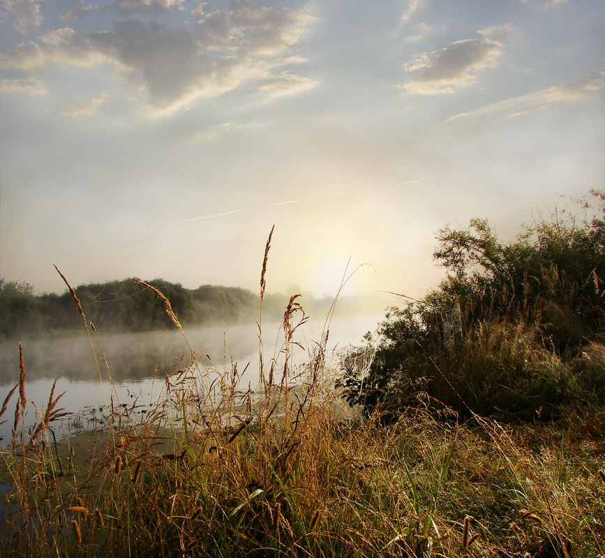 Утренняя....