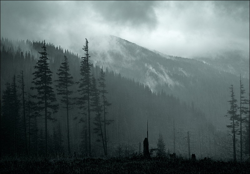 Мрачный пейзажик