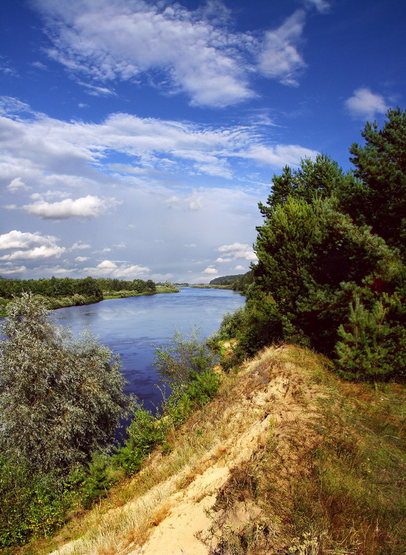 Синеокая......