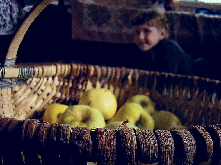 осень.яблоки.деревня.