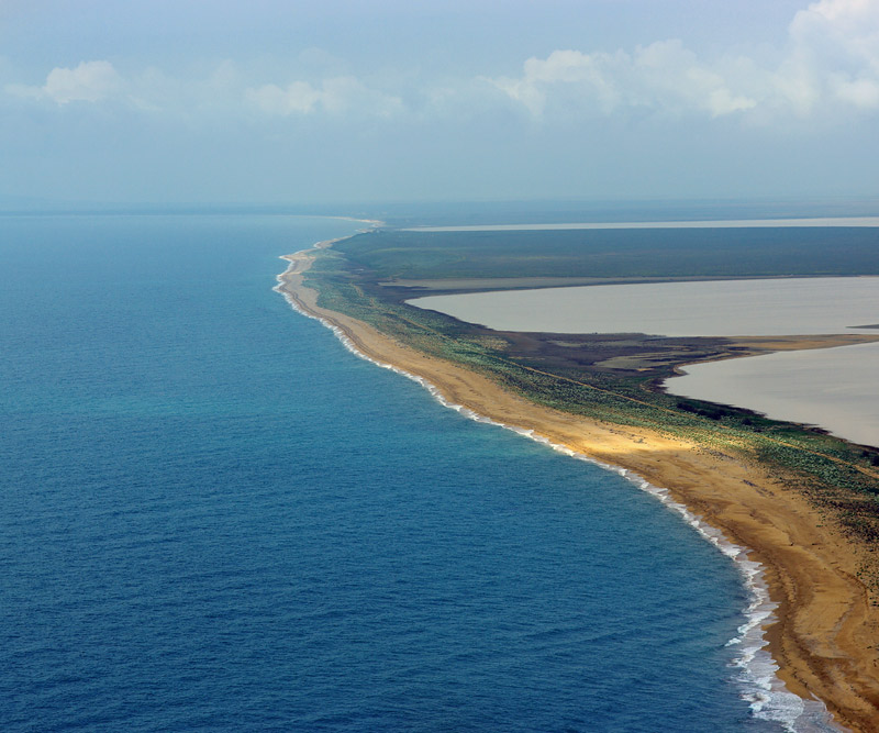 с точки зрения чайки