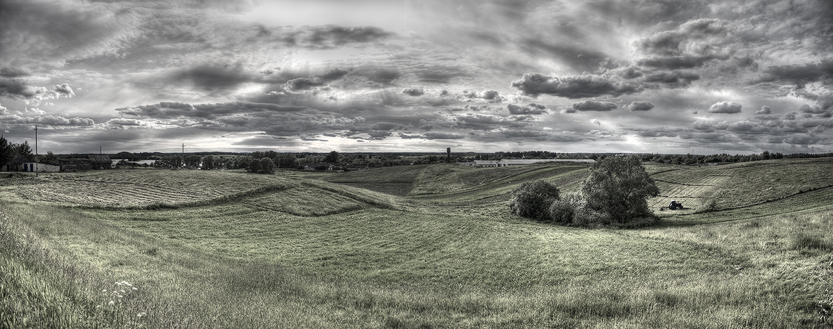 Волнистые поля