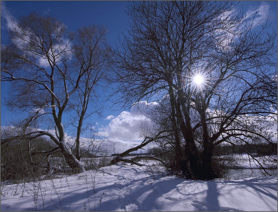 Воспоминание о будущем