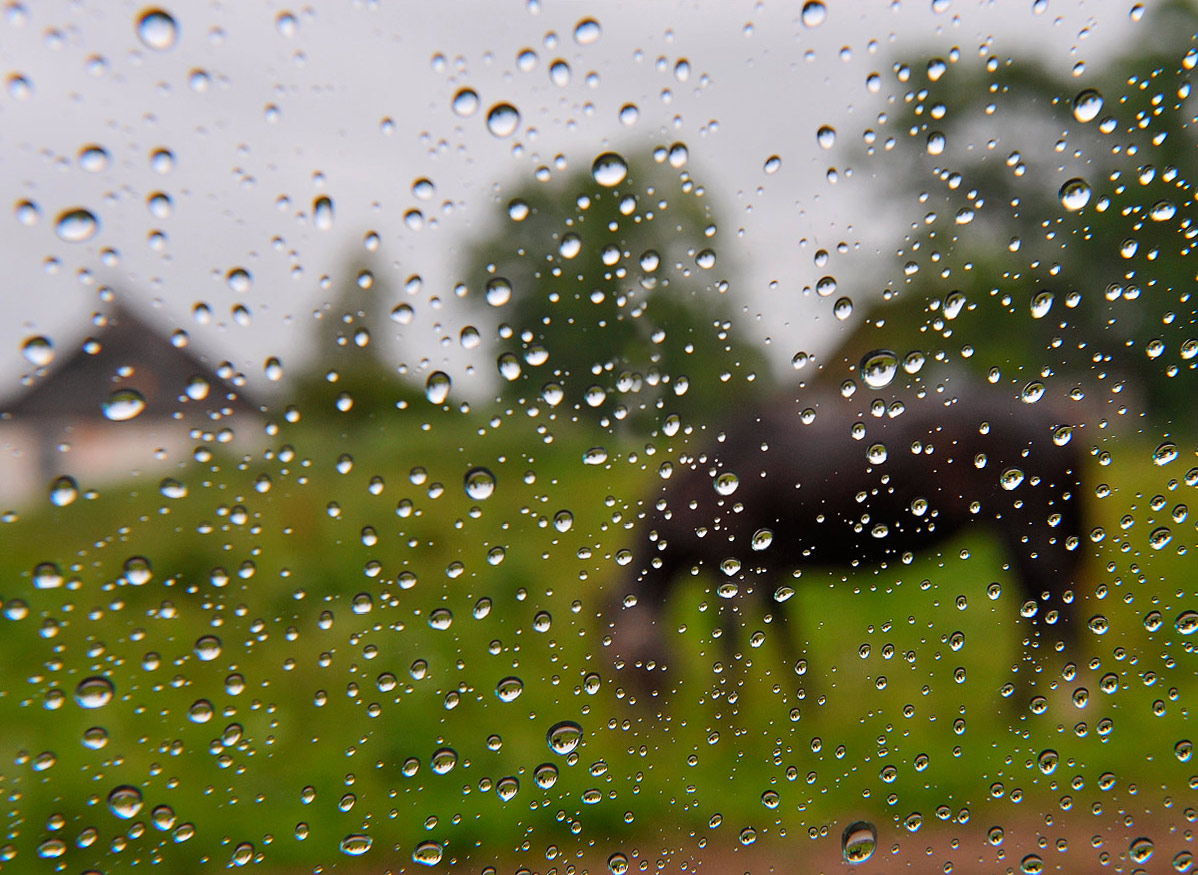 Из глубинки с любовью