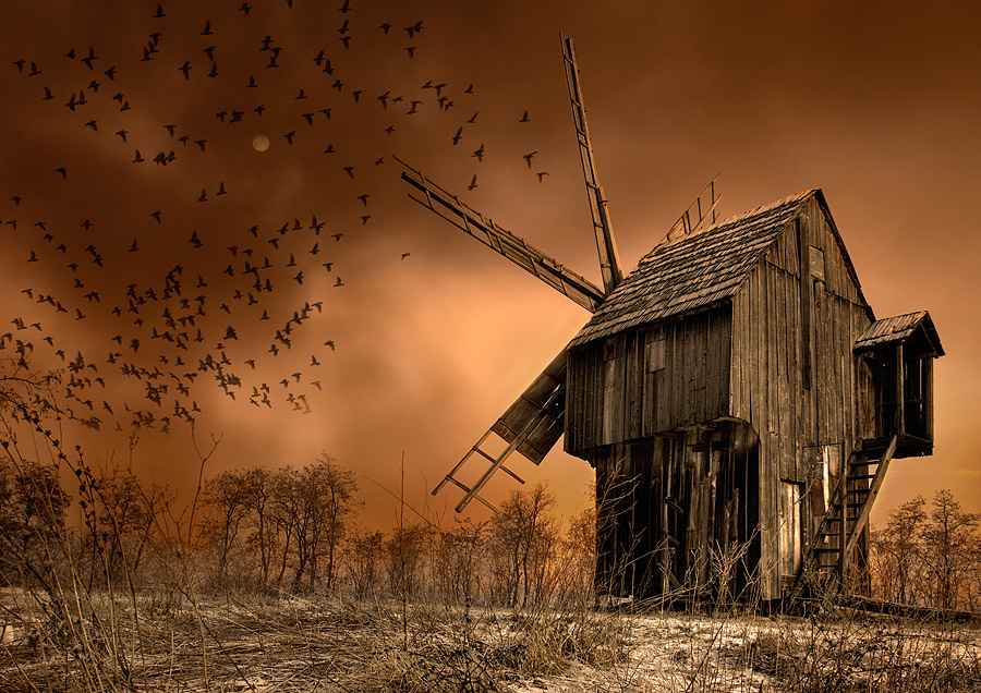 Маг на поле ветров