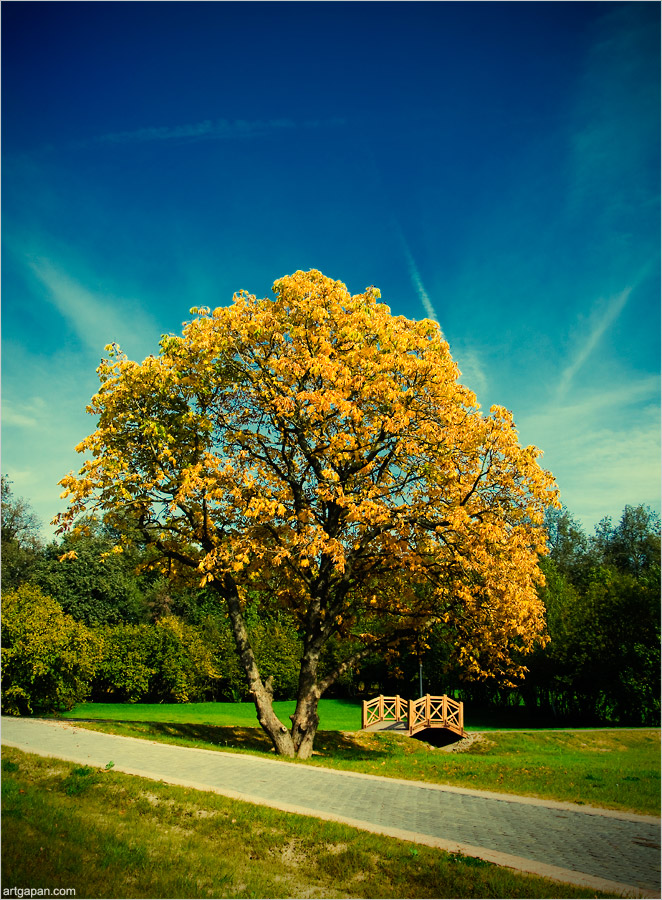 Первый костёр сентября...