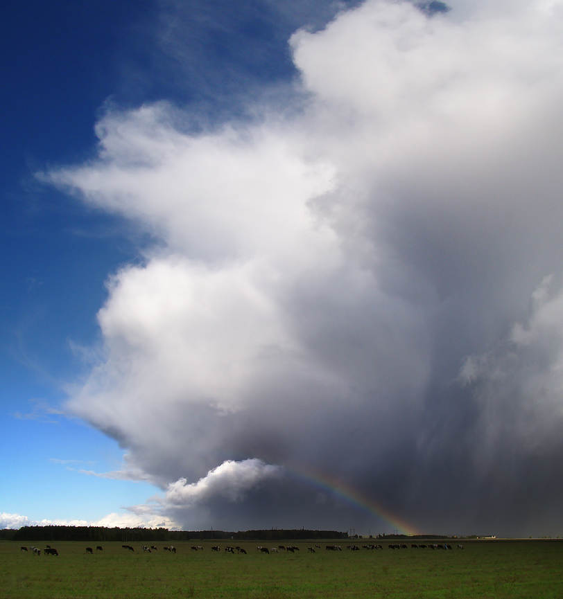 ...........Сказки пастуха............