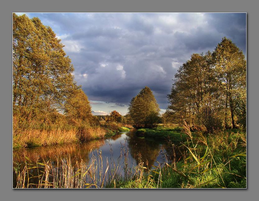 .........Золотая осень..........