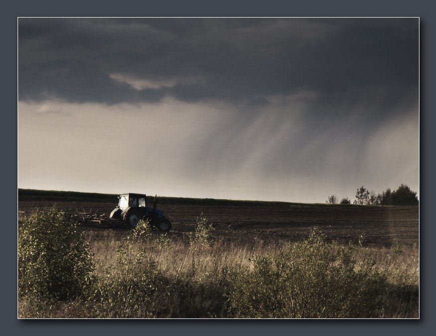 ........Мир глазами хлебороба........