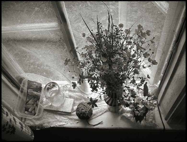 лето в деревне