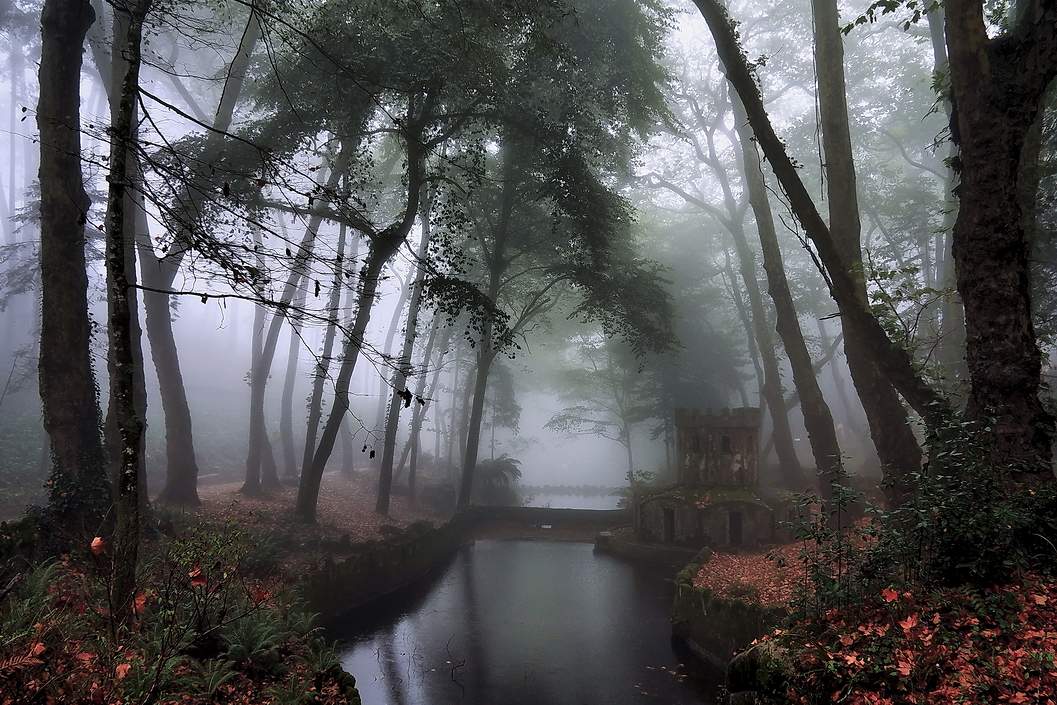 Утренняя Свежесть.