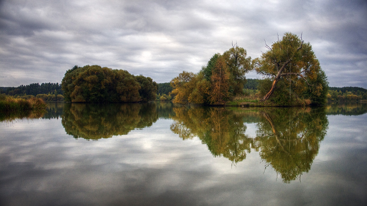 |   Отражения   |