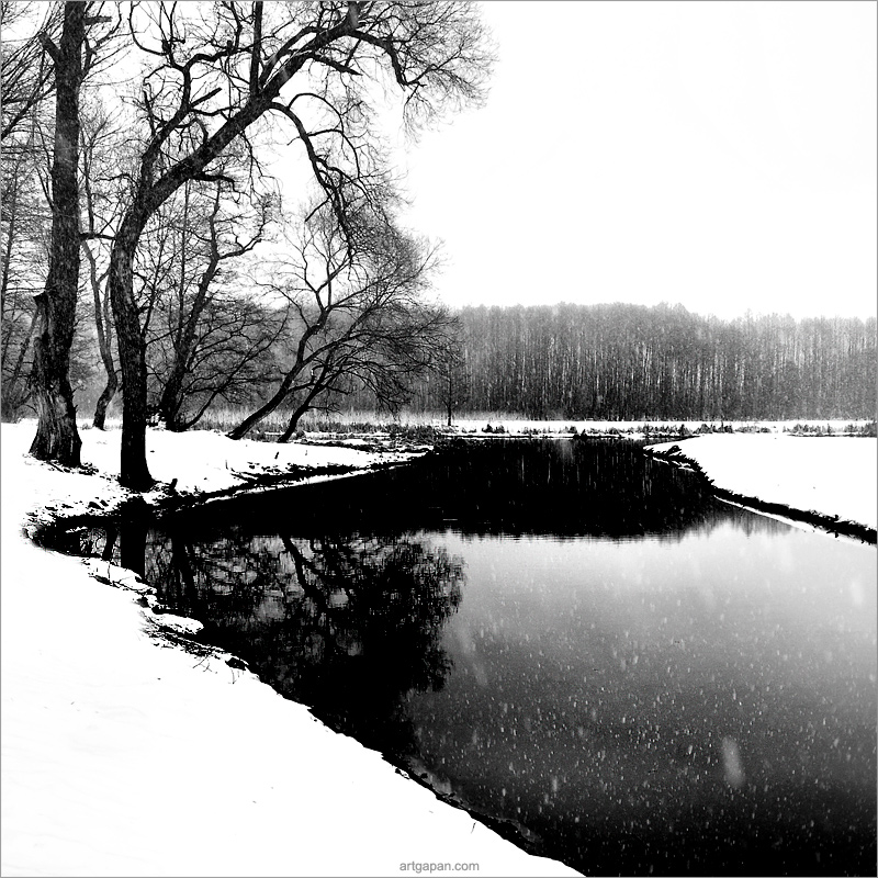 [ winter is forever ]