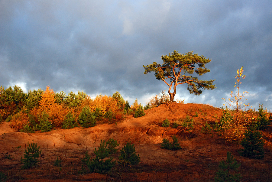 янтарь октября