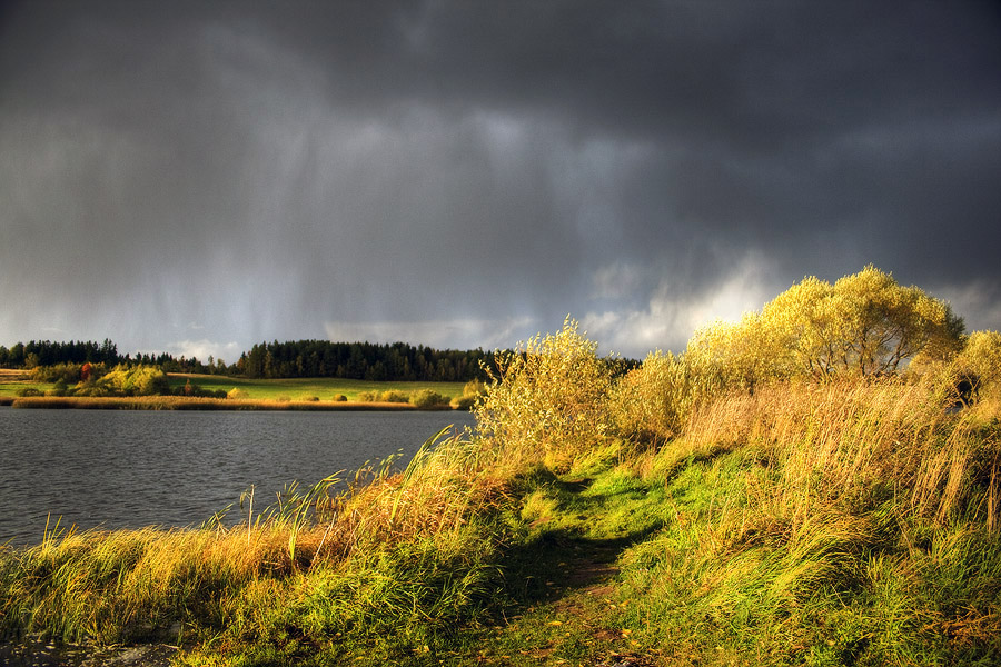 Осенняя пора