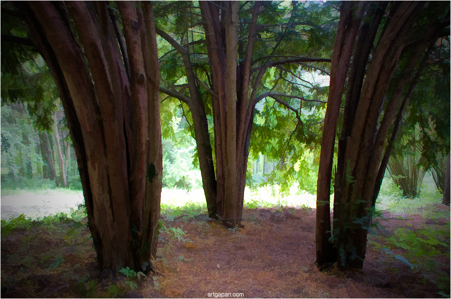 ...где-то на Марсе