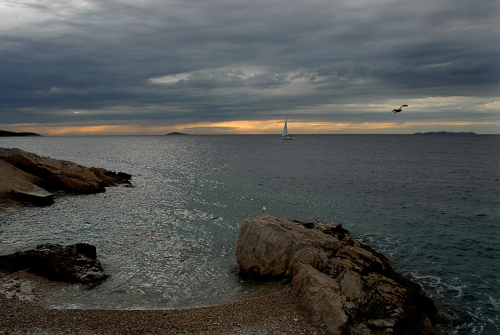 Берег, чайка, парус