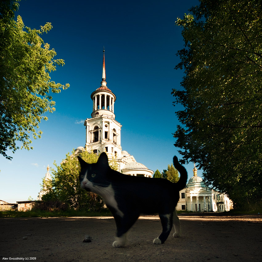 Торжокские прогулки