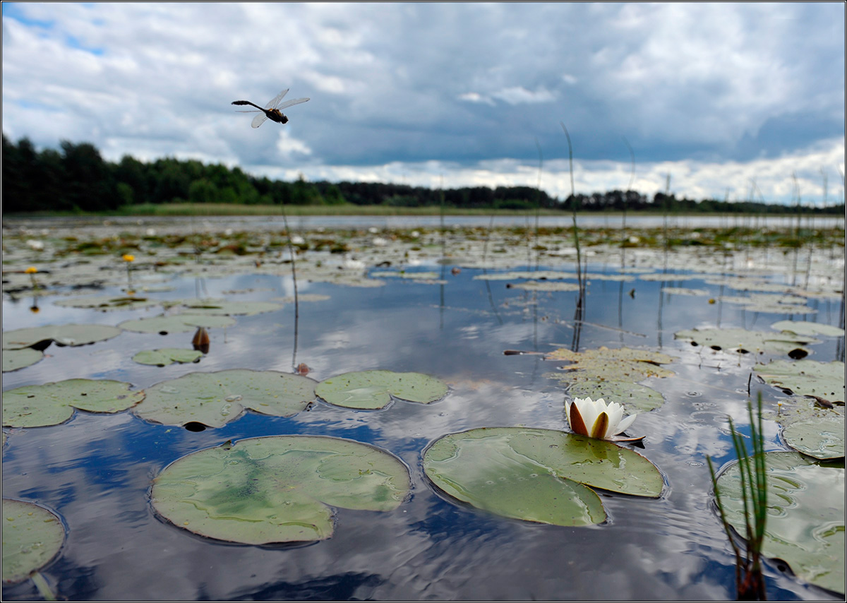 За пол часа   до дождя