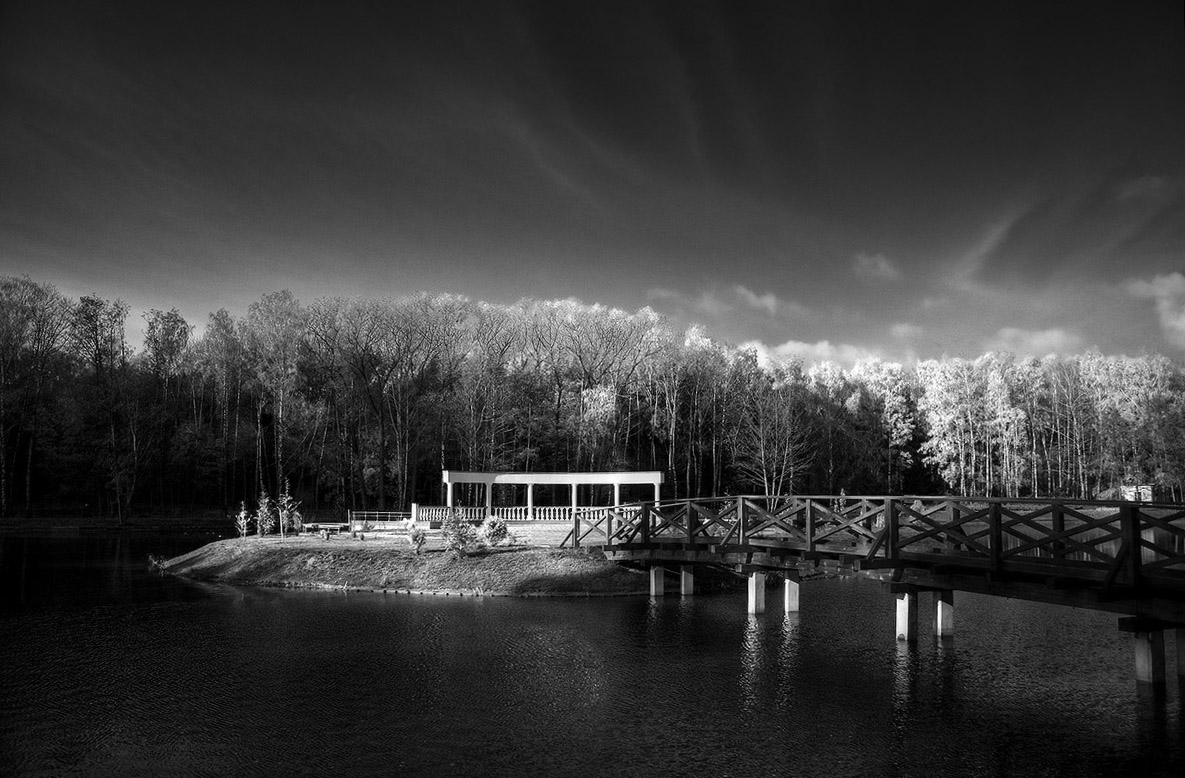 Парковое сердце