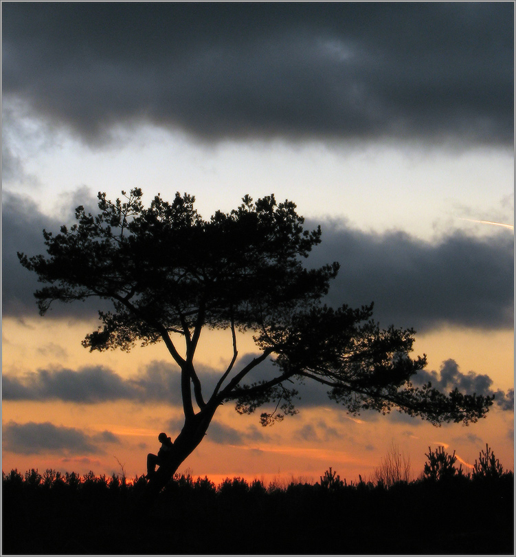 мальчик хочет в тамбов?