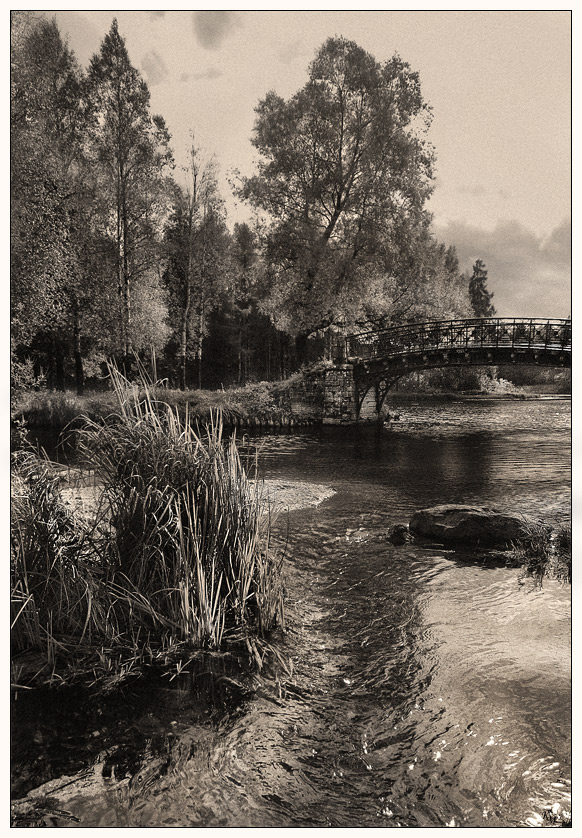 Старый парк (2)