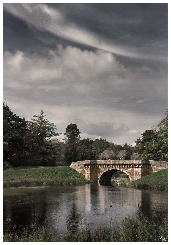 Старый парк (3)