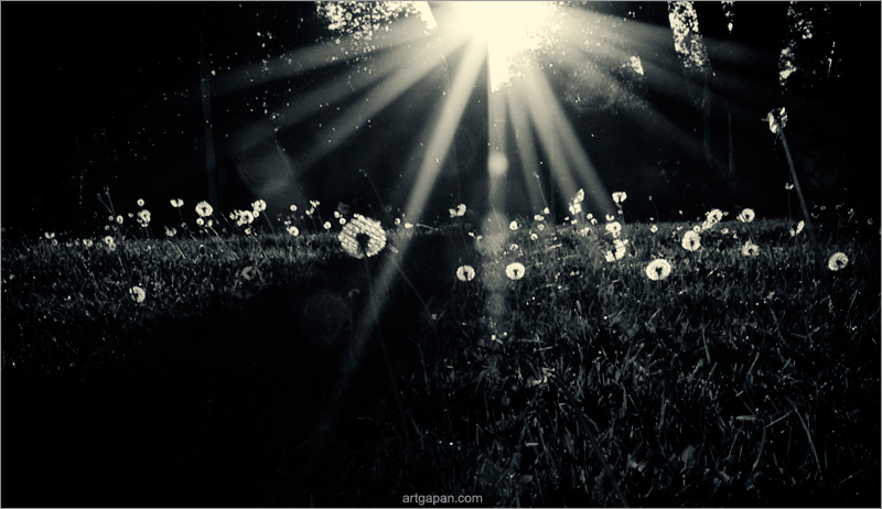 [ Страна не выученных уроков ]