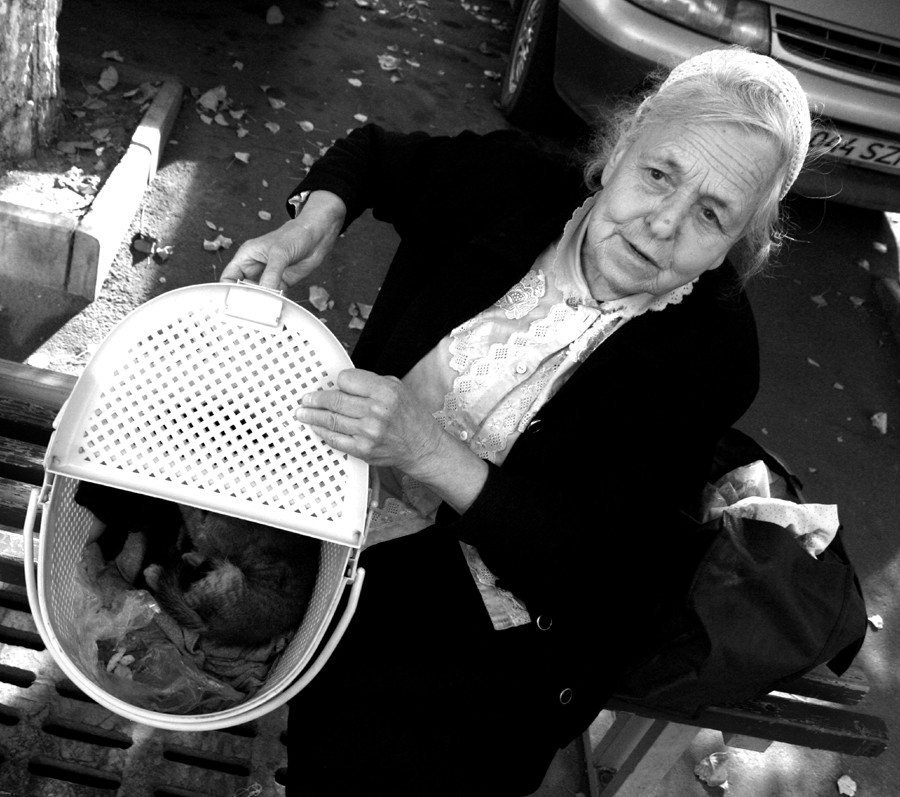 "Котика возьмите..."