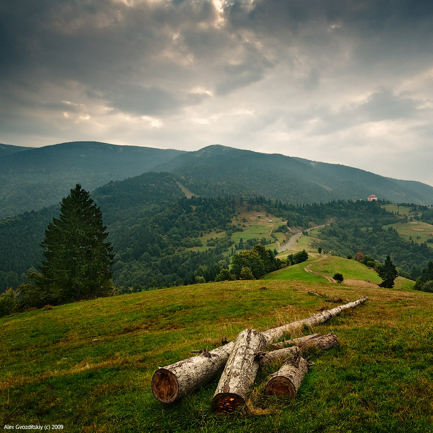 Утро на Каменке