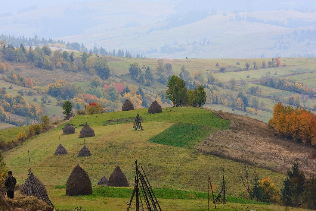 Карпаты - октябрь