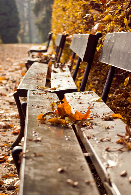 Осенние мотивы