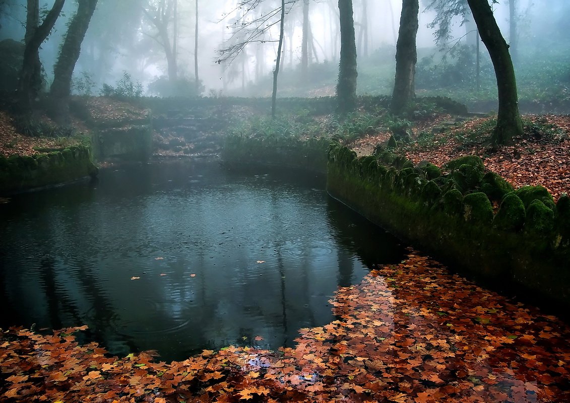 Осенний Мотив.