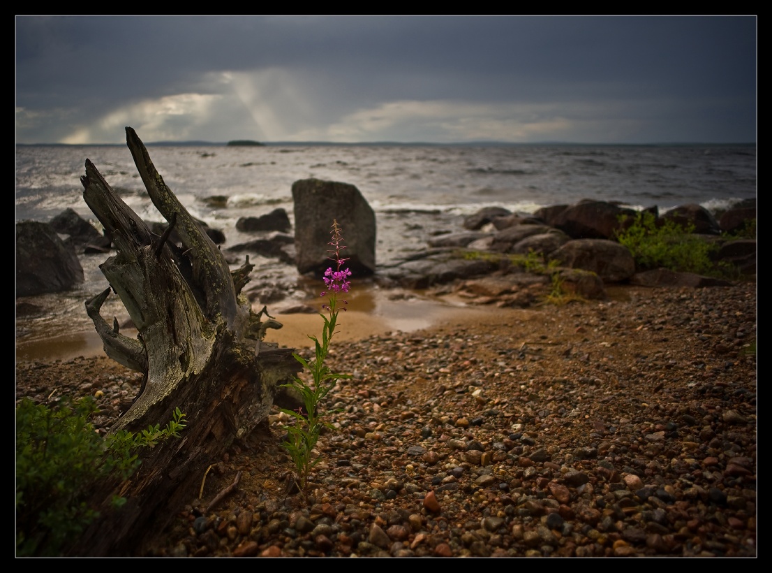 Желание жить...