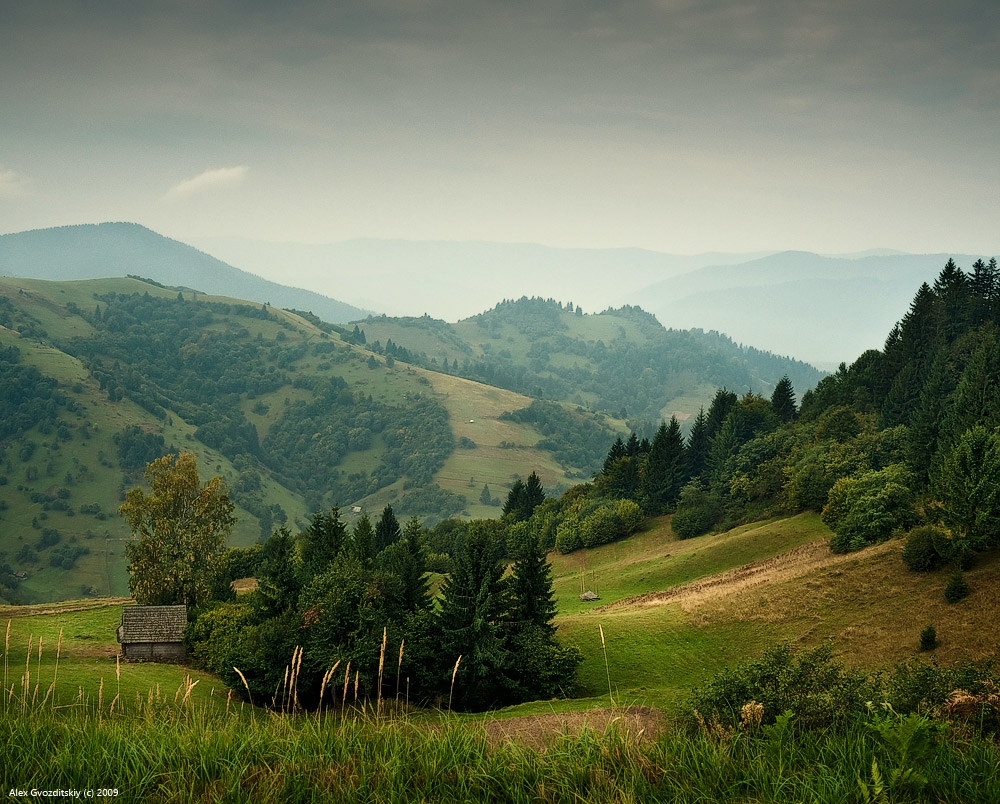 Хижина дяди Тараса