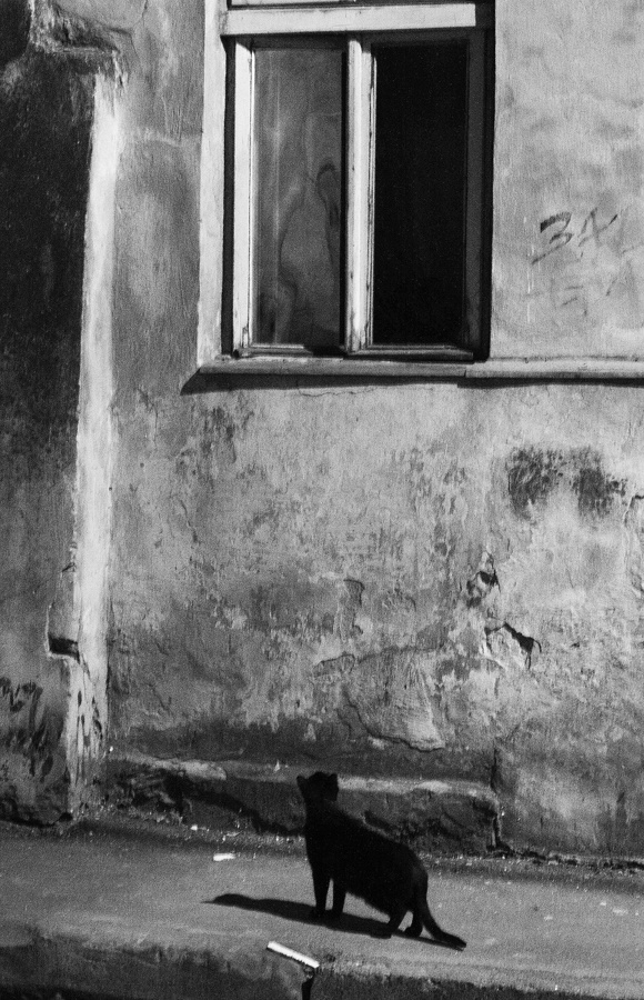 Кошка и окошко