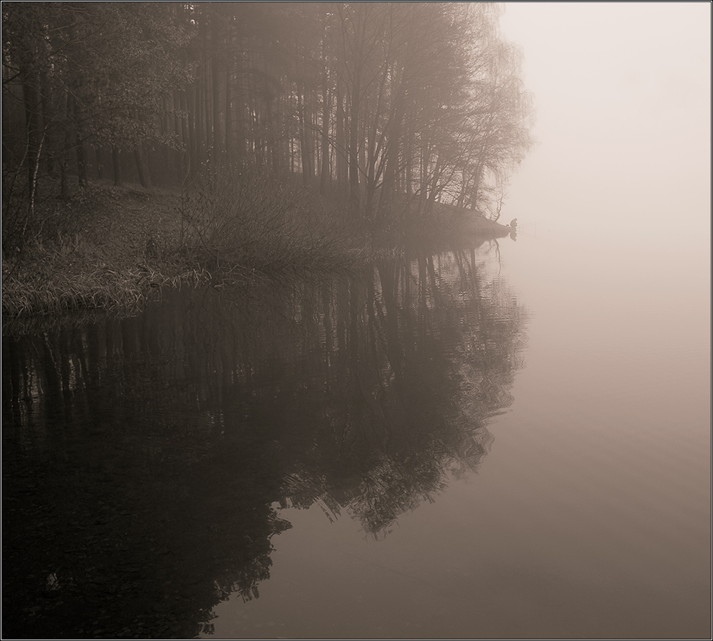 Туманная  поклевка