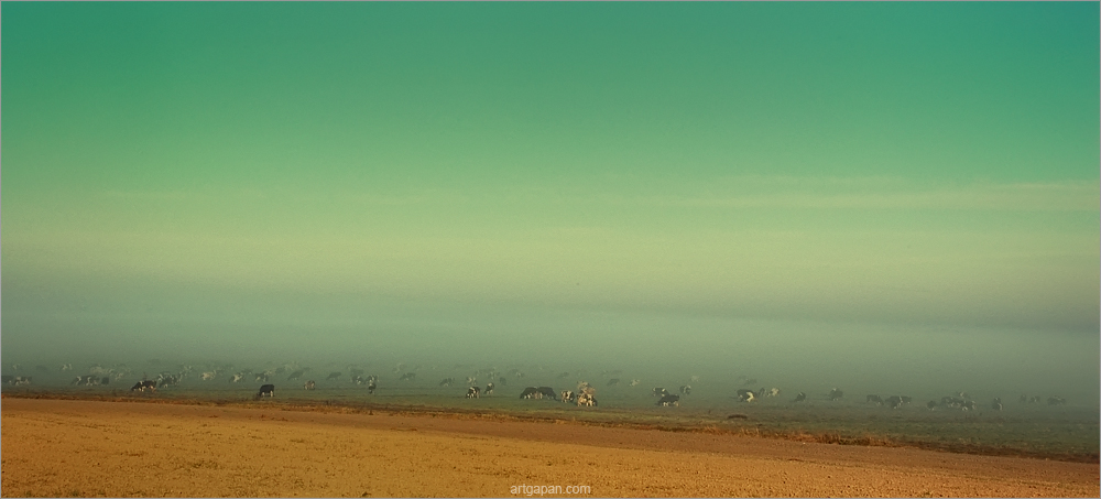 [ Somewhere on Mars ]