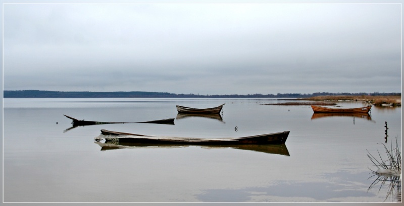 Их век недолог...