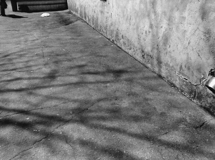 весна пришла