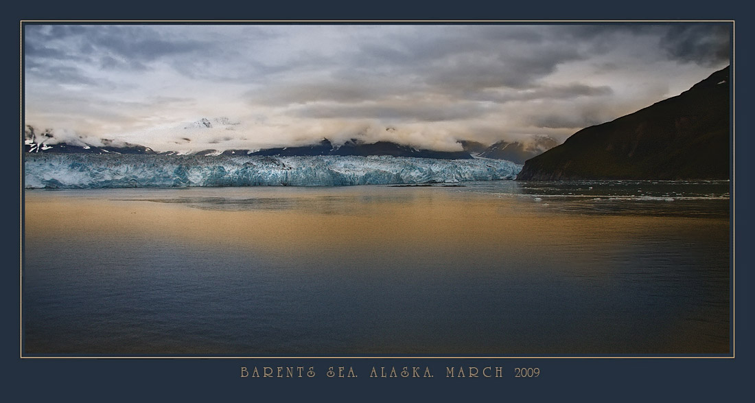 Здесь живут киты...