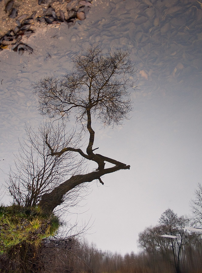 Зазеркалье