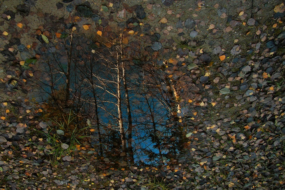 Осенняя прогулочная