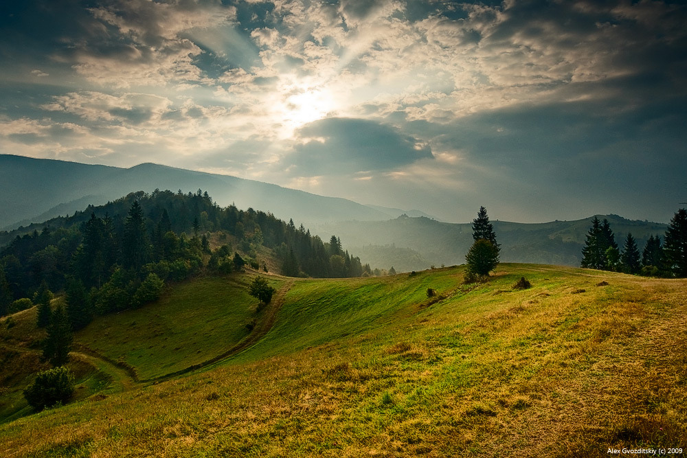 Однажды утром